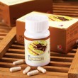 كبسولات فطر كورديسبس Cordyceps